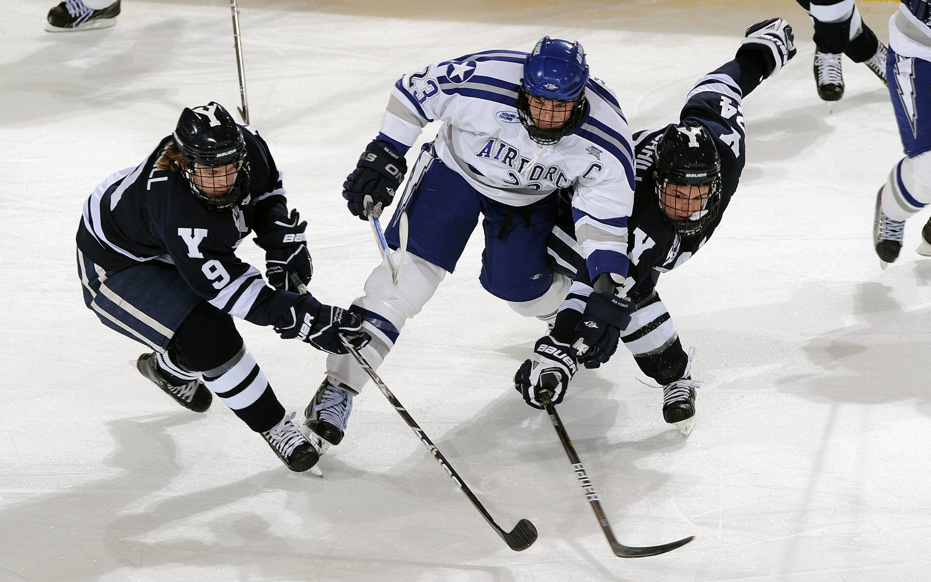 自由泳巅峰对决，世界纪录保持者与新星闪耀国际泳联锦标赛：爱游戏下载
