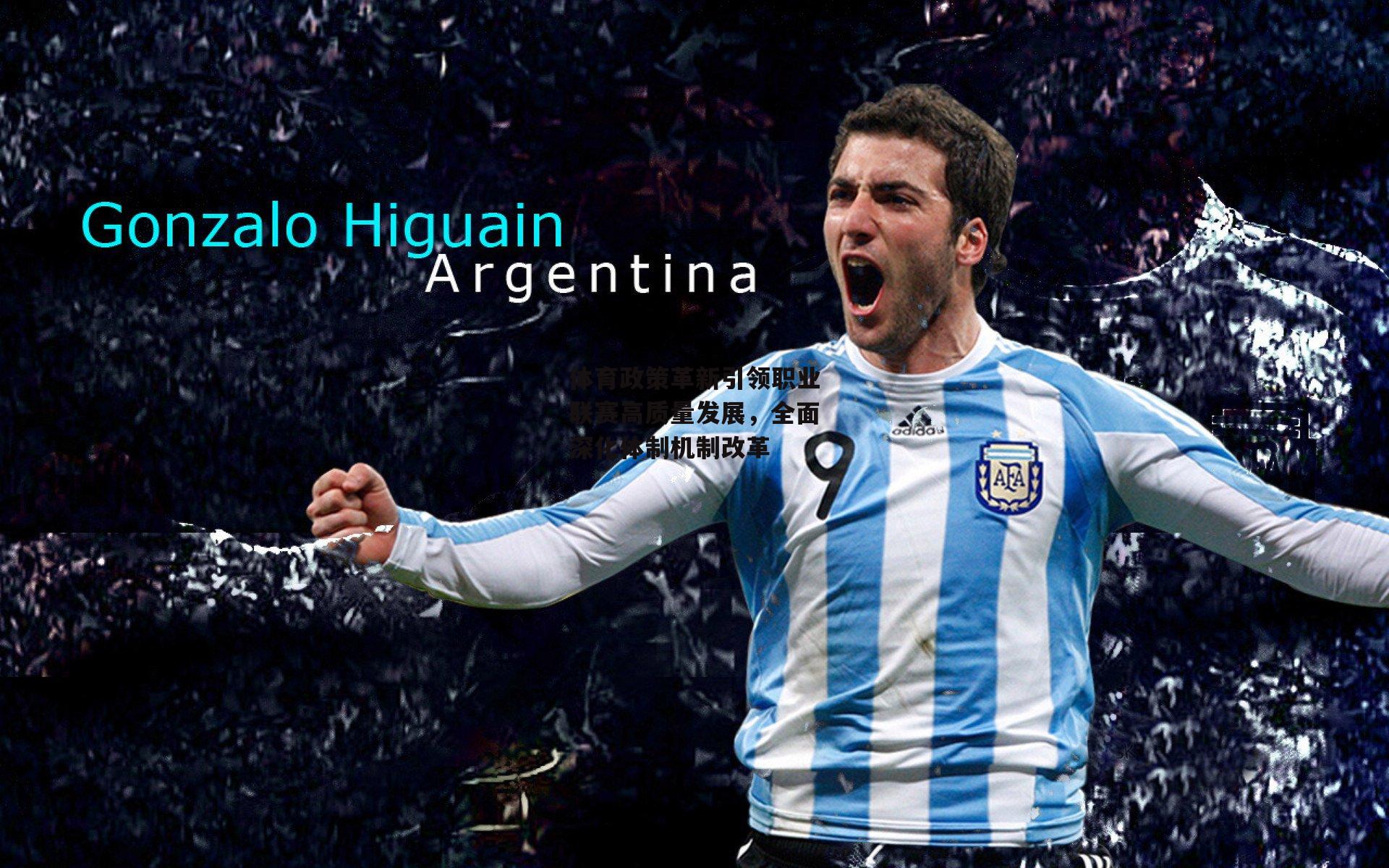 爱游戏入口|体育政策革新引领职业联赛高质量发展，全面深化体制机制改革